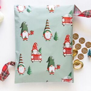 20 10x13 Gnome designer poly mailer